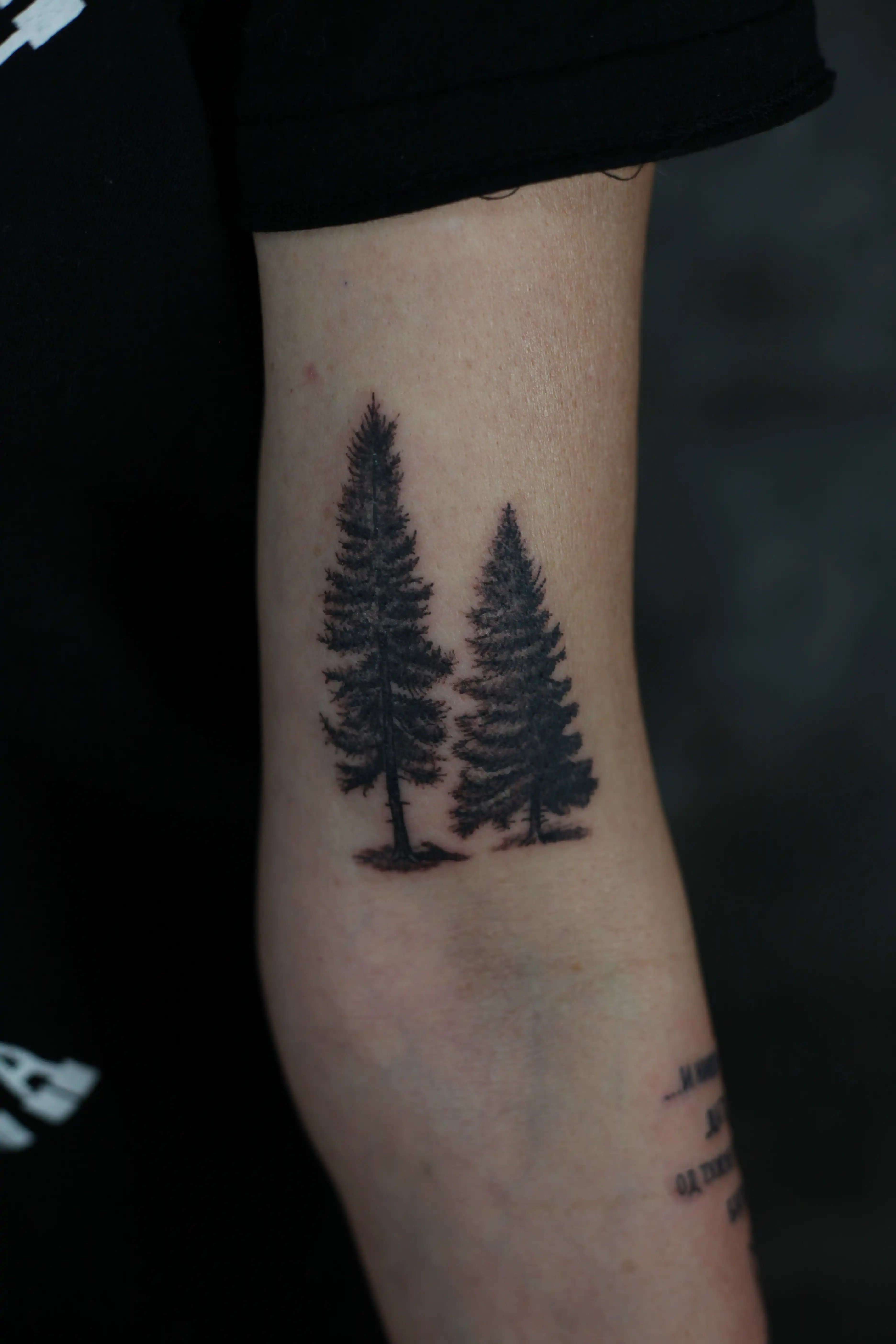 Tetovaža Bor i jela - Fine Line & Minimal - Eternal Art Tattoo Studio Loznica